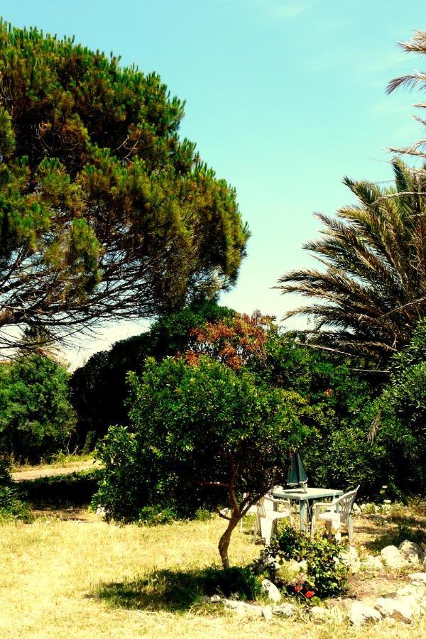 Manderley-Case Sul Mare Santa Caterina Di Pittinuri  Dış mekan fotoğraf