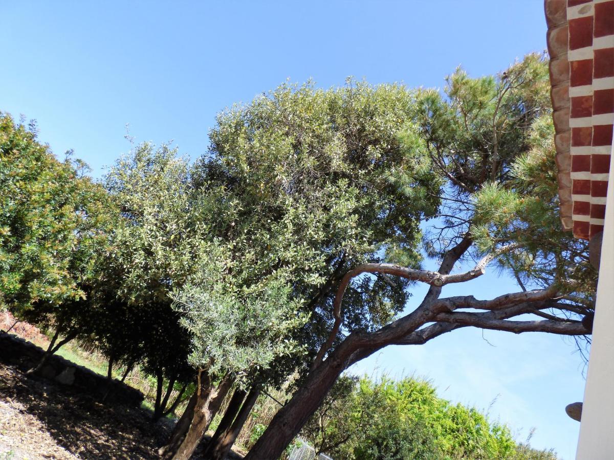 Manderley-Case Sul Mare Santa Caterina Di Pittinuri  Dış mekan fotoğraf