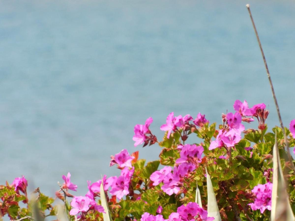Manderley-Case Sul Mare Santa Caterina Di Pittinuri  Dış mekan fotoğraf