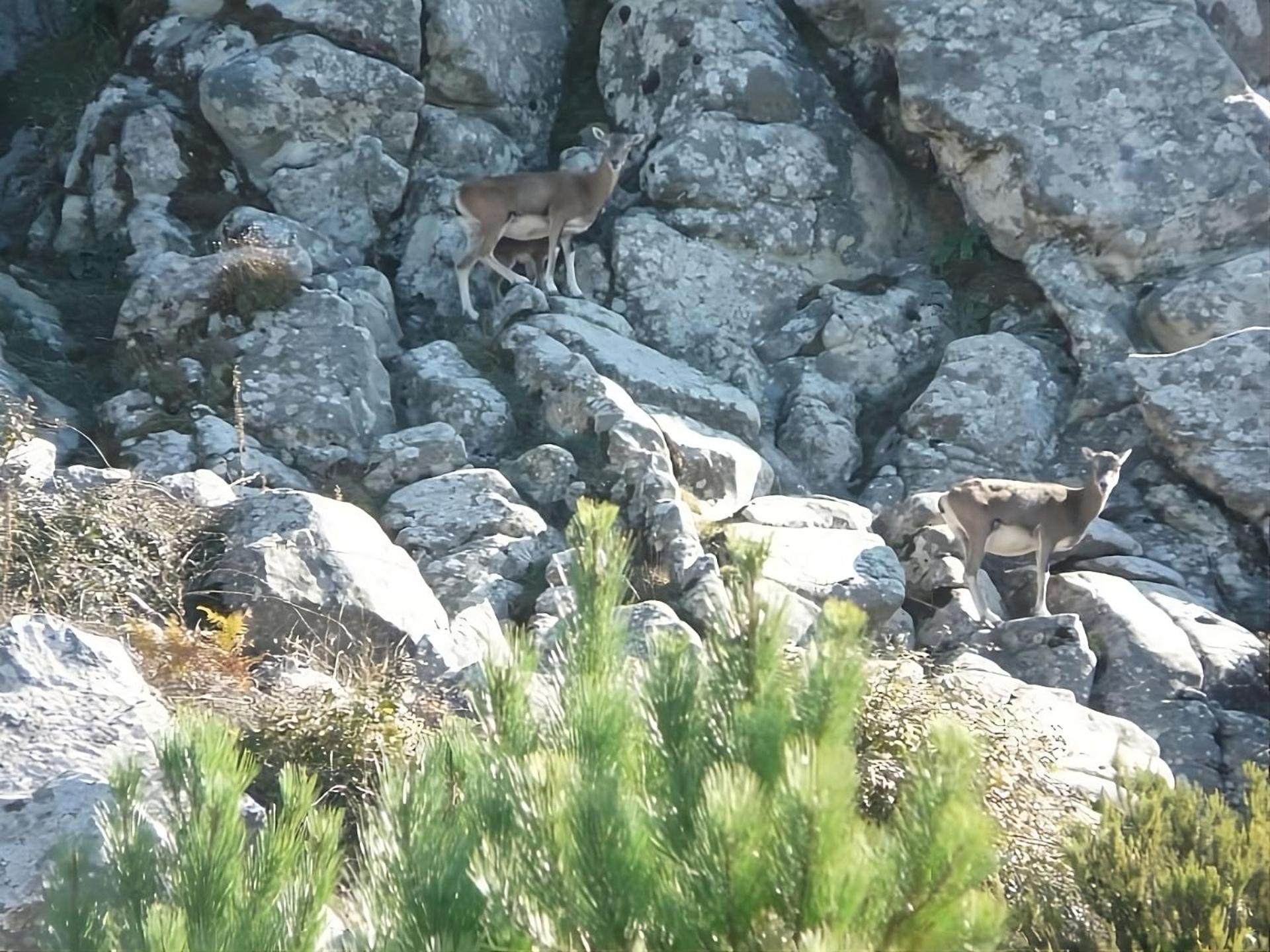 Manderley-Case Sul Mare Santa Caterina Di Pittinuri  Dış mekan fotoğraf